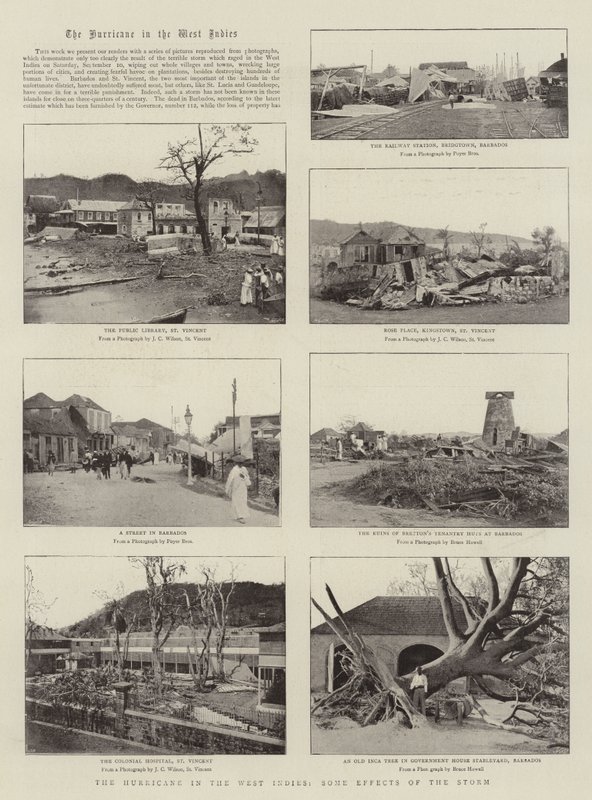 Batı Hint Adaları'ndaki Kasırga, Fırtınanın Bazı Etkileri by English Photographer