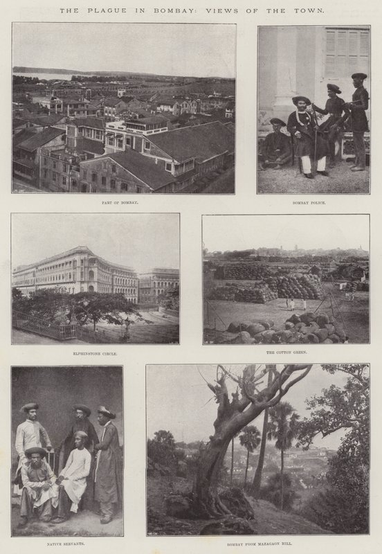 Bombay