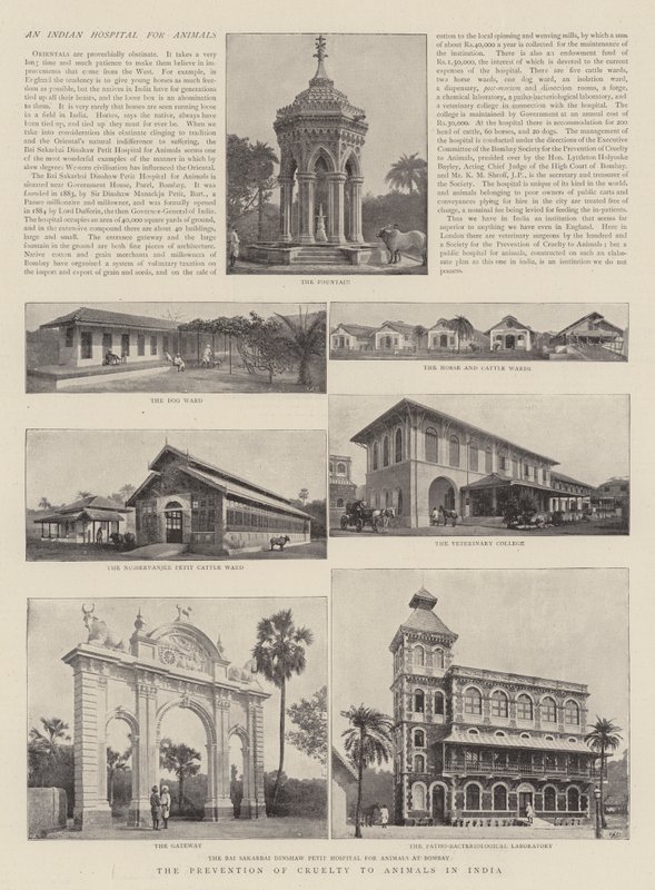 Hindistan