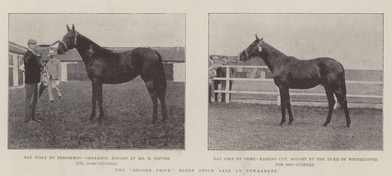 Newmarket