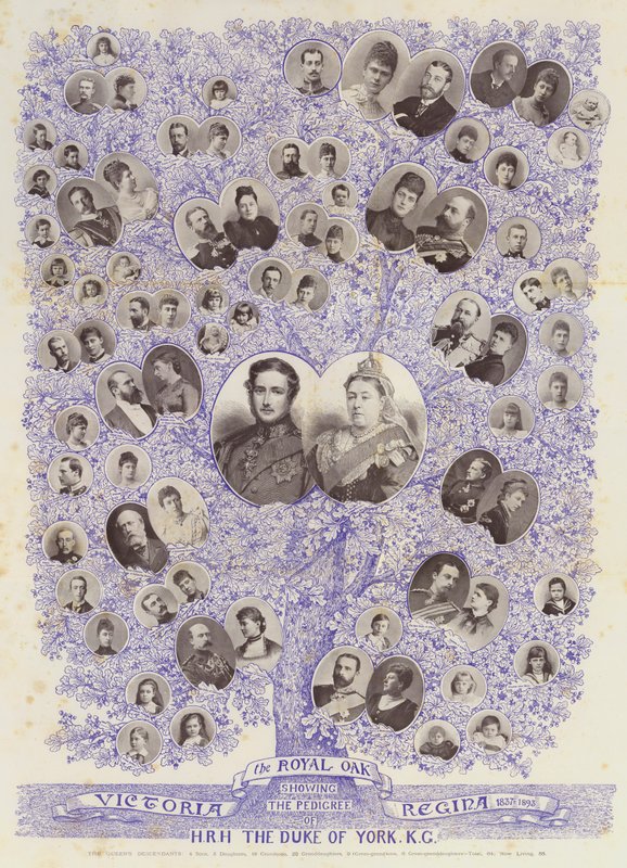 Royal Oak, HRH Duke of York, KG soyunu gösteren by English Photographer