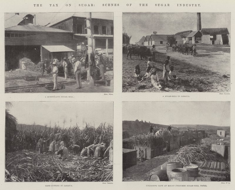Şeker Vergisi Şeker Sektöründen Manzaralar by English Photographer
