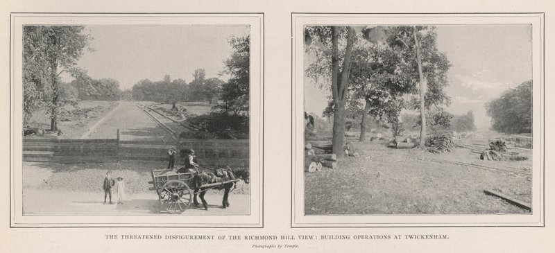 Richmond Hill View