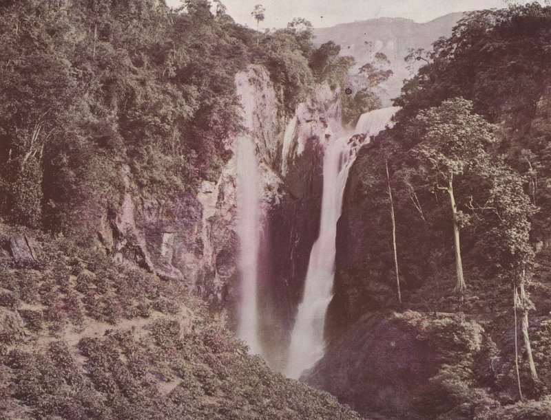 The Twin Falls (Ön Planda Büyüyen Kahve), Seylan (renkli fotoğraf) by English Photographer