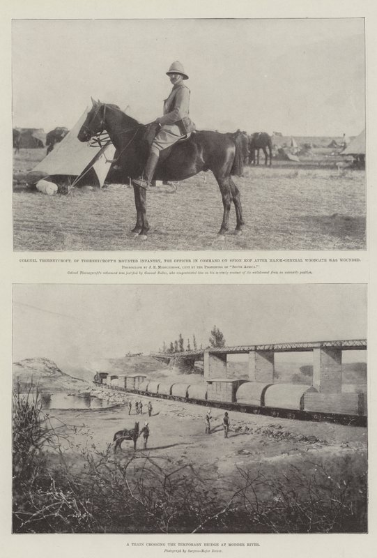 Transvaal