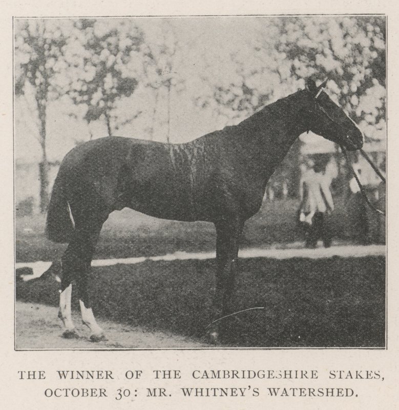 Cambridgeshire Stakes Kazanan, 30 Ekim, Bay Whitneys Watershed by English Photographer
