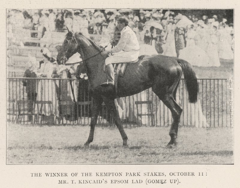 Kempton Park Stakes Kazanan, 11 Ekim, Bay T Kincaids Epsom Lad (Gomez yukarı) by English Photographer