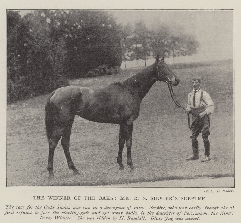 Oaks