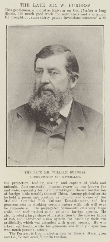Merhum Bay William Burgess, Balıkçı ve Doğabilimci by English Photographer