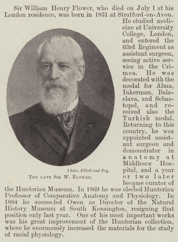 Merhum Sir W Çiçek by English Photographer