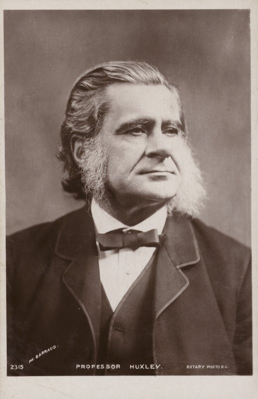 Thomas Henry Huxley (1825-1895, İngiliz biyolog) by English Photographer
