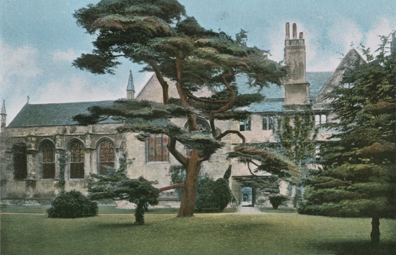 Wadham Koleji by English Photographer