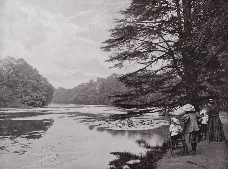 Wanstead Parkı by English Photographer