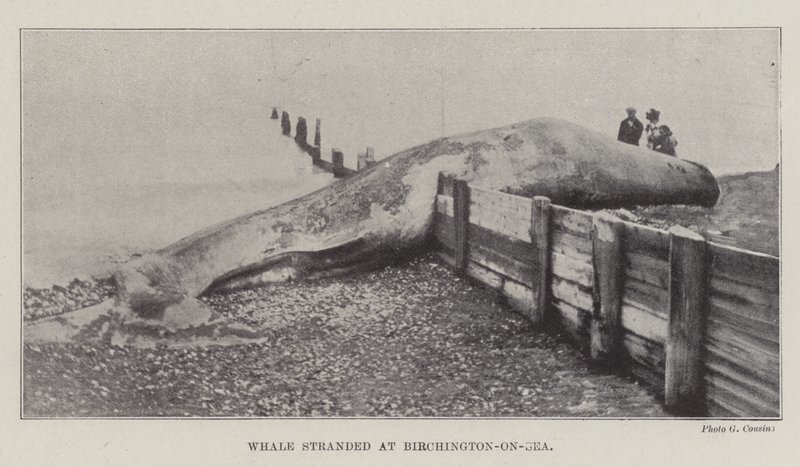 Birchington-on-Sea