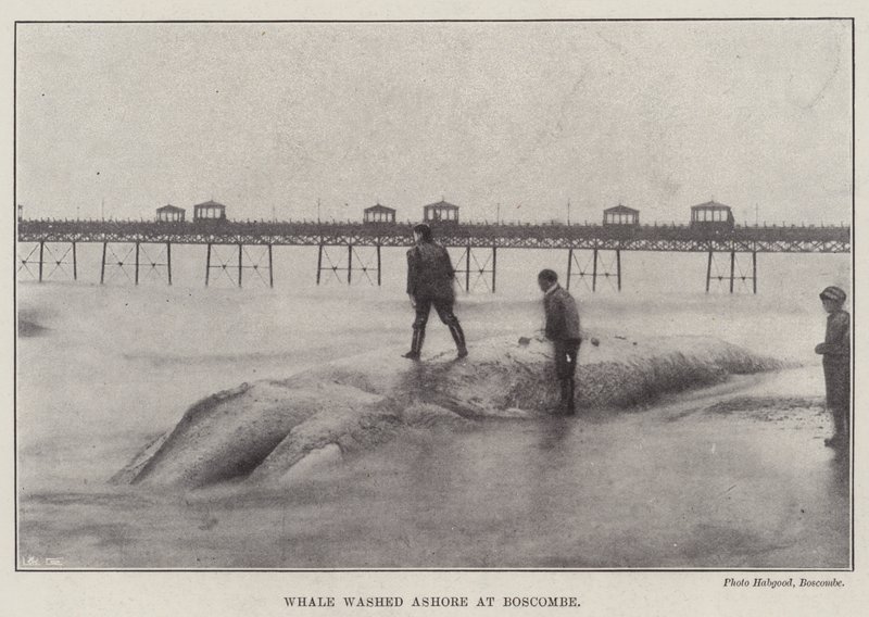 Boscombe