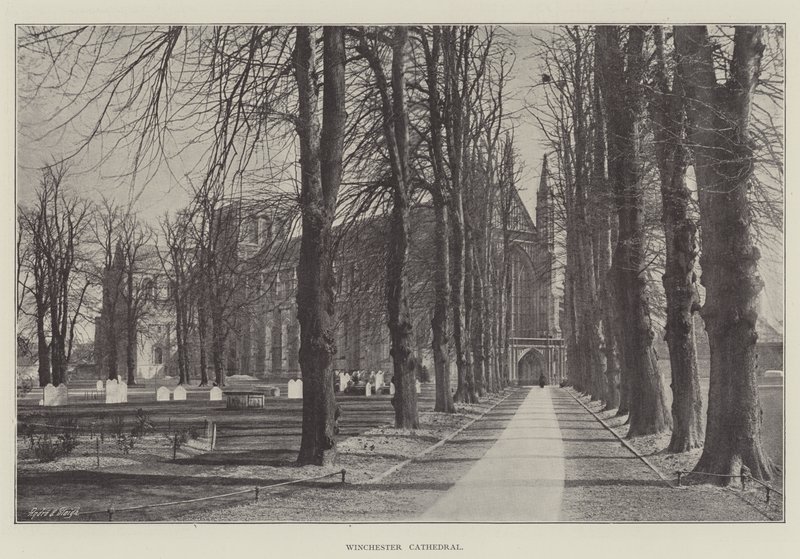 Winchester Katedrali by English Photographer