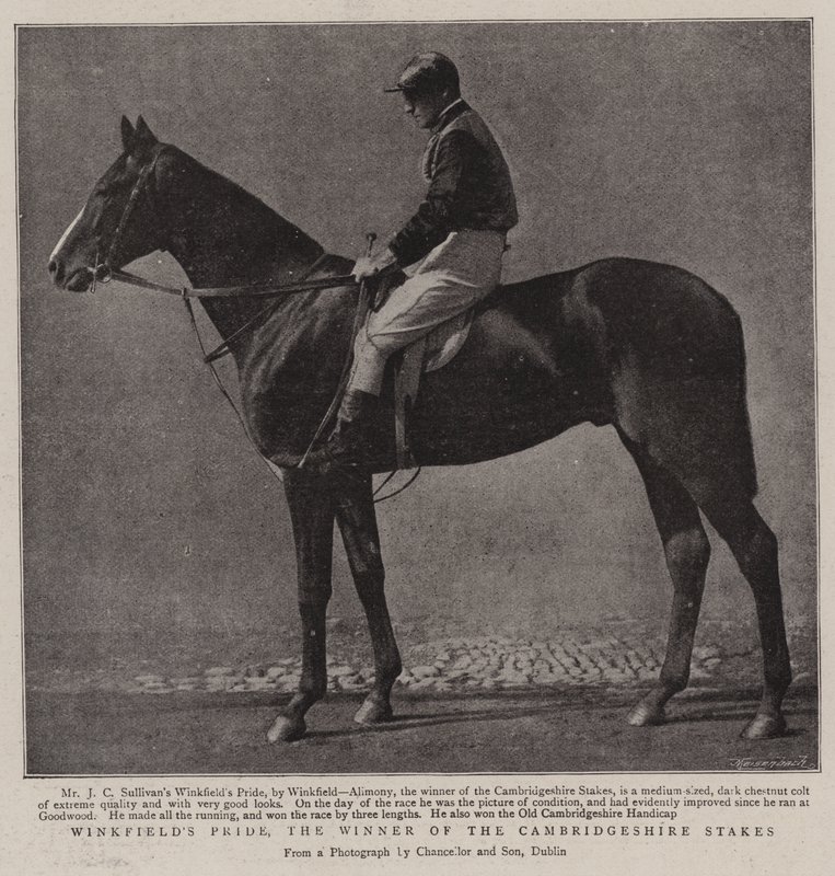 Winkfields Pride, Cambridgeshire Stakes Kazanan by English Photographer