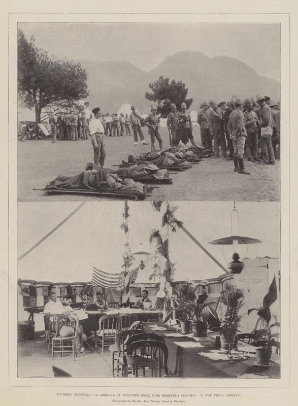 Wynberg Hastanesi, Lord Robertss Sütunundan Yaralıların Gelişi, Saha Kütüphanesi by English Photographer