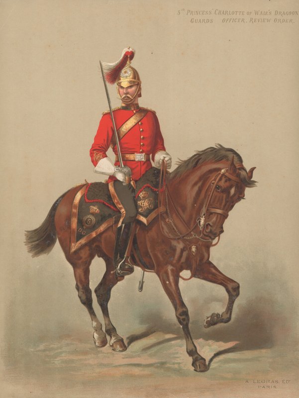 5. Galler Prensesi Charlotte Ejderha Muhafızları, Memur, Düzeni İnceleme by English School