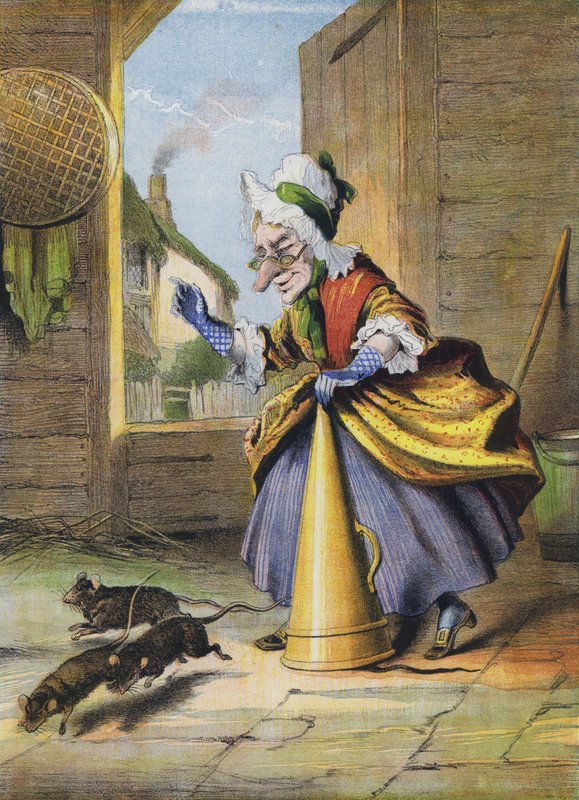 Sıçanlar için Sermaye Tedavisi by English School