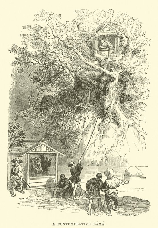Düşünceli Bir Lama by English School