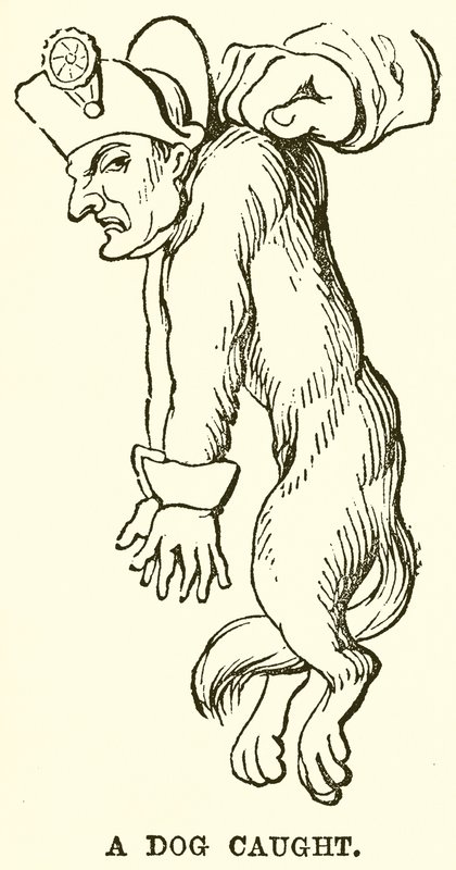 Bir Köpek Yakalandı by English School