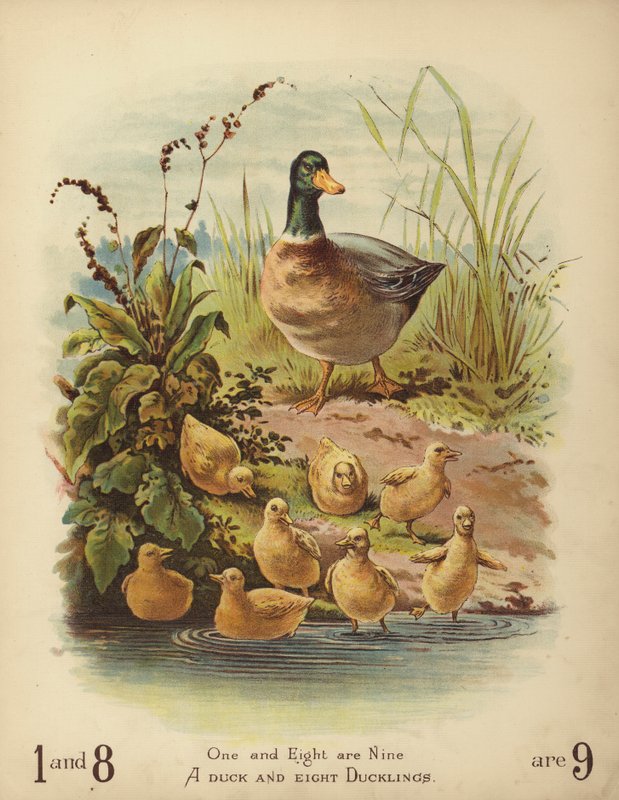 Bir Ördek ve Sekiz Ördek (chromolitho) by English School