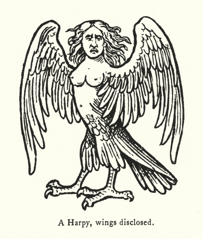 Bir Harpy, kanatları açık (gravür) by English School