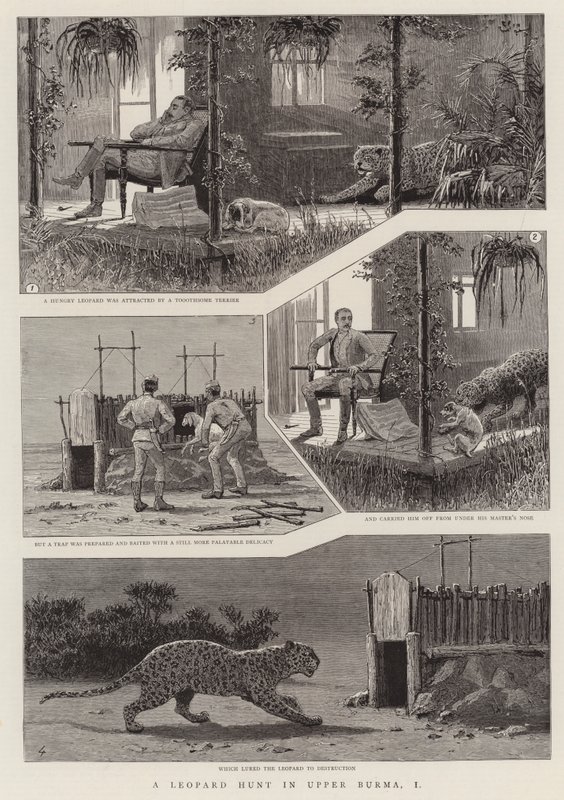 Yukarı Burma