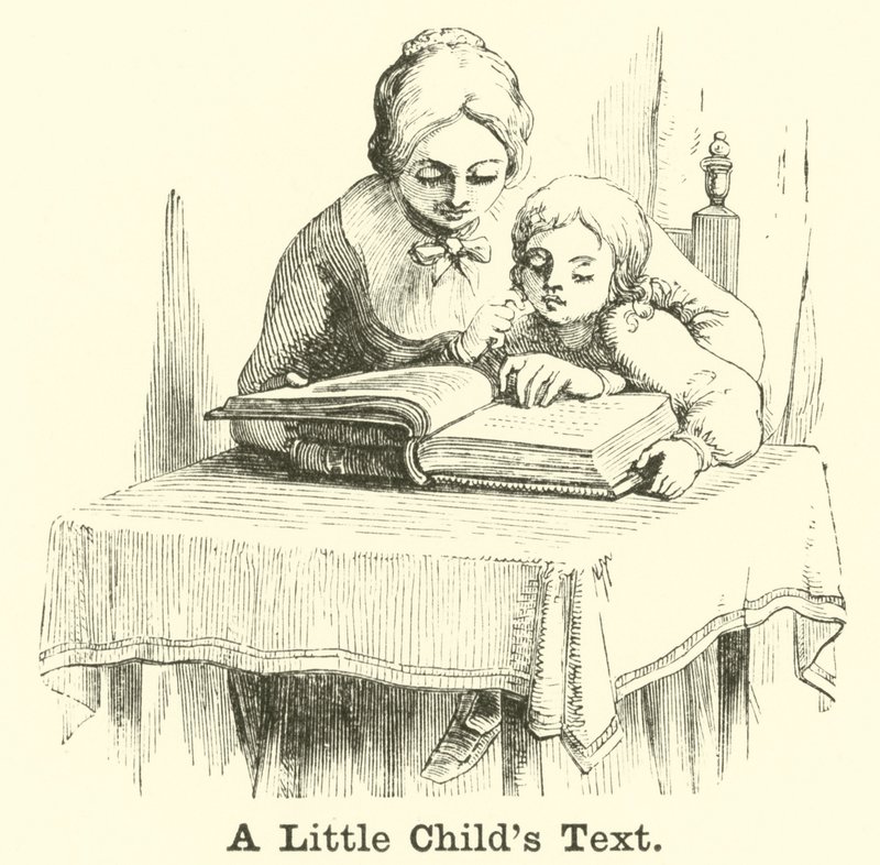 Küçük Bir Çocuk Metni by English School