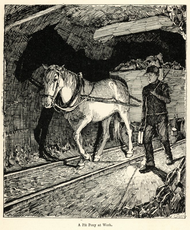 Bir Pit Pony İş Başında (gravür) by English School