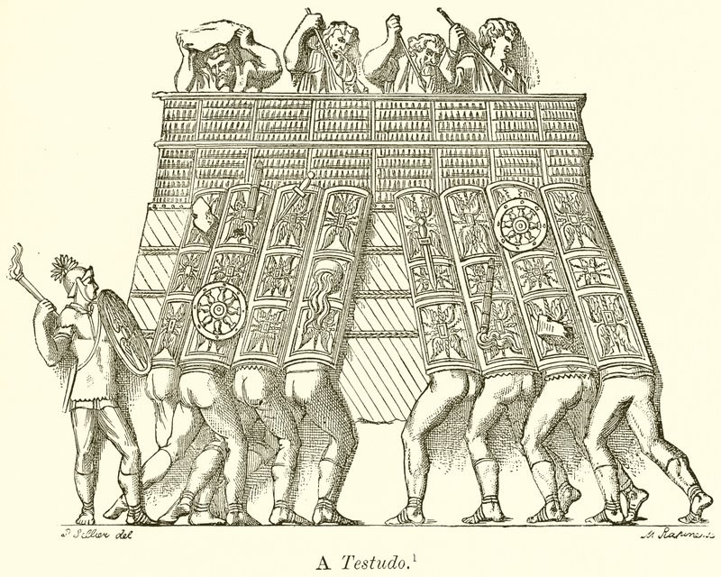 Bir Testudo by English School