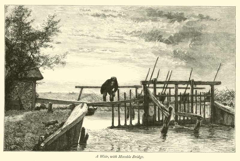 Hareketli Köprülü Bir Savak by English School
