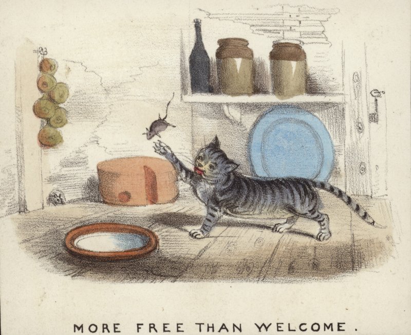 Yakaladığı fareyle oynayan kedi by English School