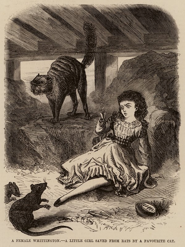 Dişi bir Whittington, en sevdiği kedi tarafından farelerden kurtarılan küçük bir kız (gravür) by English School