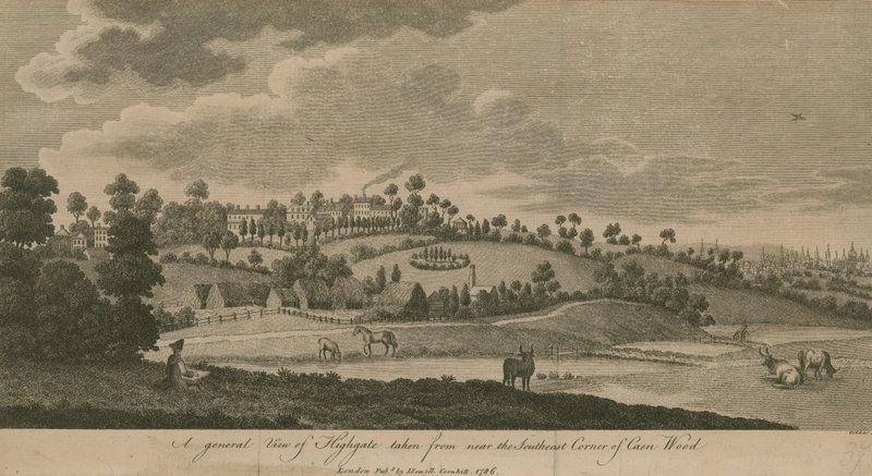 Caen Wood