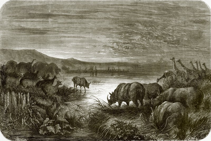 Afrika