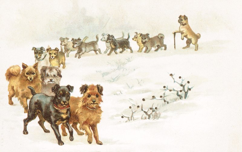 Karda bir köpek treni by English School