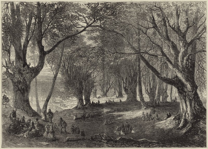 Epping Ormanı