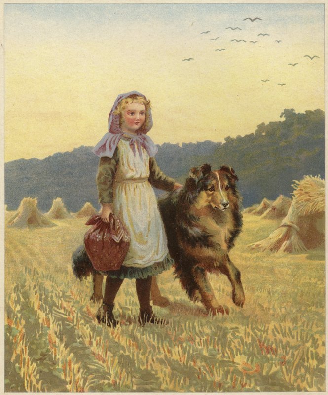 Elinde kömür ocağı köpeğiyle tarlada duran genç bir kız. by English School