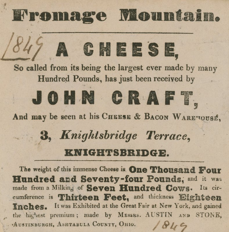 Fromage Dağı olarak bilinen bir peynirin sergilenmesi için reklam by English School