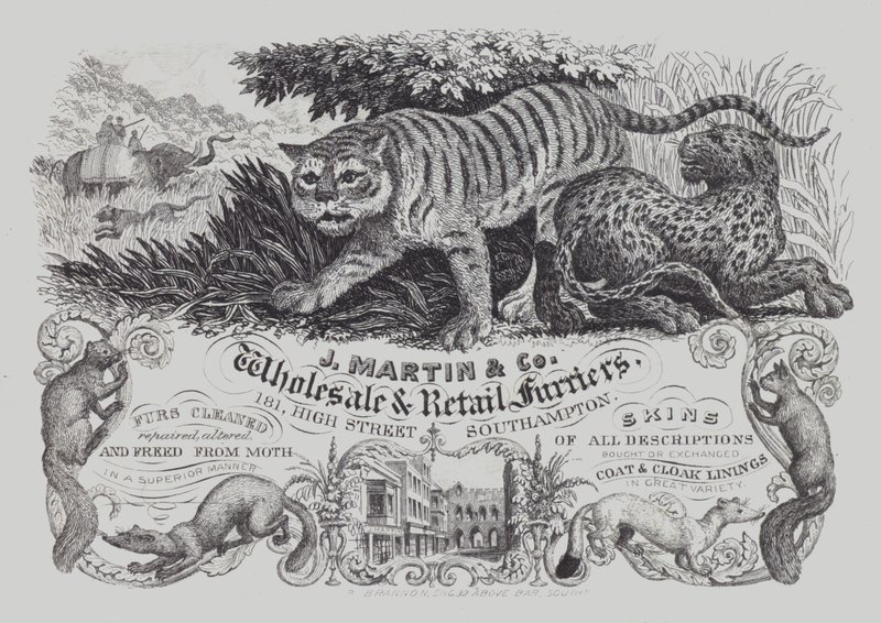 J Martin & Co, toptan ve perakende kürkçüler, Southampton, Hampshire (litho) için reklam by English School