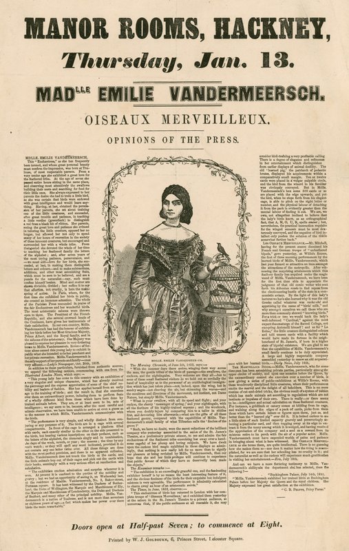 Mademoiselle Emile Vandermeersch, Oiseaux Merveilleux