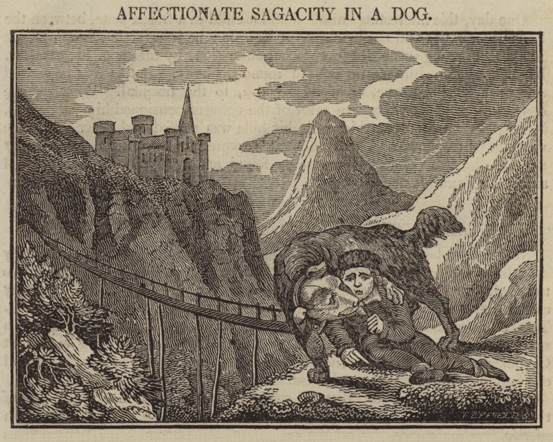 Köpekte Sevgi Sagacity (gravür) by English School