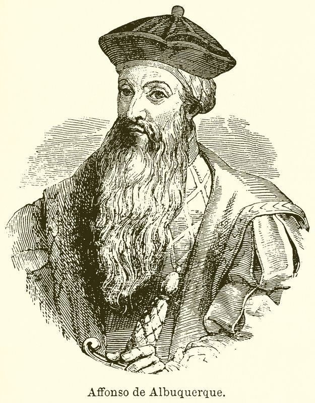 Affonso de Albuquerque by English School