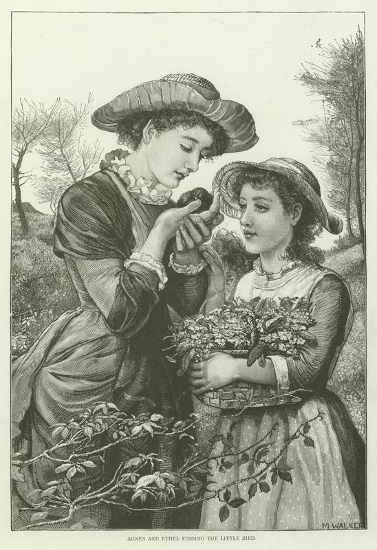 Agnes ve Ethel küçük kuşu buluyor by English School