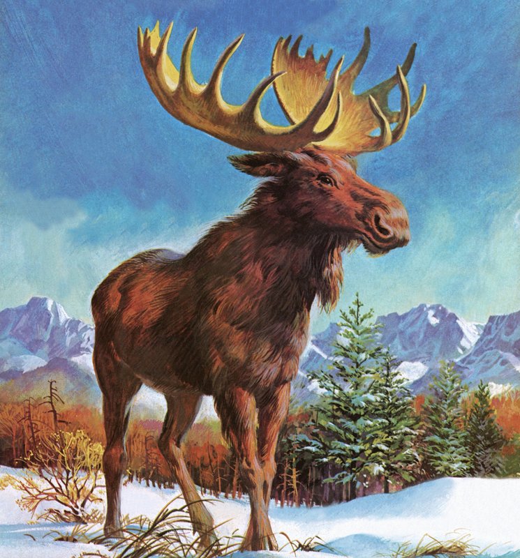 Alaska