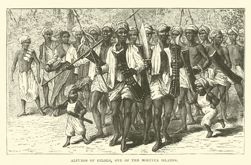 Molucca Adaları