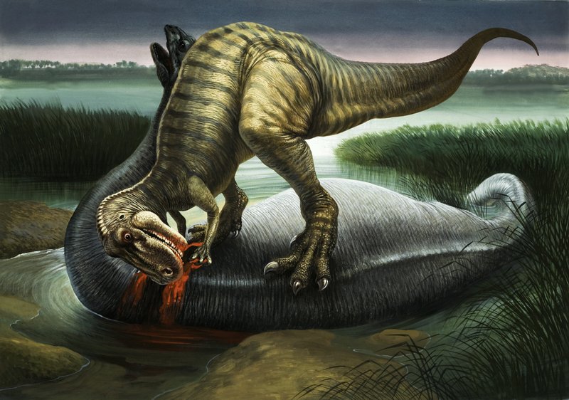 Allosaurus bir Apatosaurus yiyor by English School
