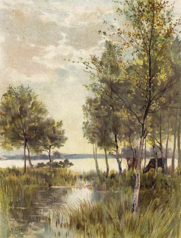 Bir Sonbahar Akşamı by English School